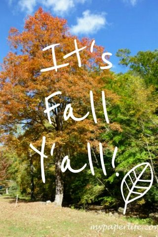 It’s Fall Y’all #1
