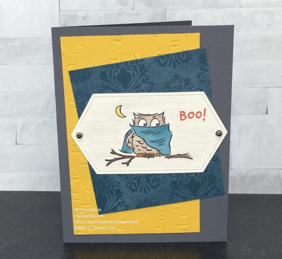 Have a Hoot #1