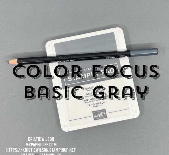 Color Focus: Basic Gray