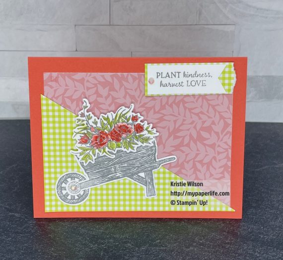 Plant Kindness, Harvest Love