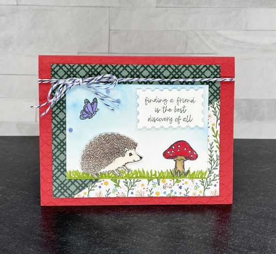 Hedgehog Friendship